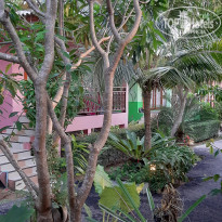 фото из отзыва ID 1995499