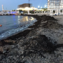 фото из отзыва ID 1995566