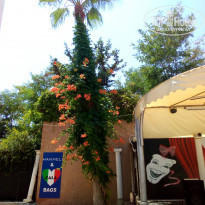 фото из отзыва ID 1995687