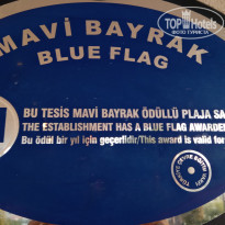 фото из отзыва ID 1995678