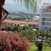 фото из отзыва ID 1995678