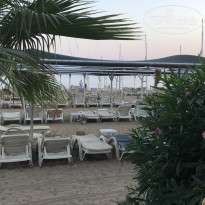 фото из отзыва ID 1995783