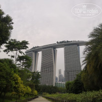 фото из отзыва ID 1995820