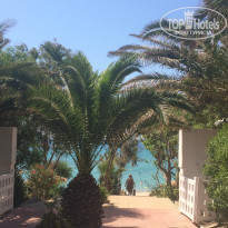 фото из отзыва ID 1995825