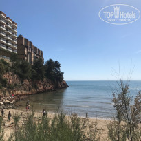 фото из отзыва ID 1995093