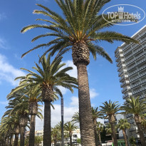 фото из отзыва ID 1995093