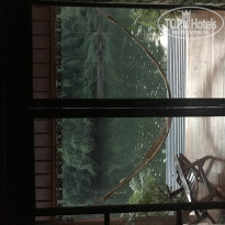 фото из отзыва ID 1995896