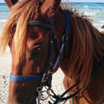 фото из отзыва ID 1995916