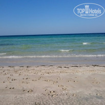 фото из отзыва ID 1995916