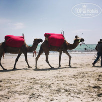 фото из отзыва ID 1995916