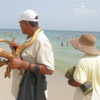 фото из отзыва ID 1995991