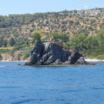 фото из отзыва ID 1996103