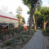 фото из отзыва ID 1996036