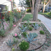 фото из отзыва ID 1996036