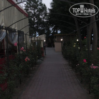 фото из отзыва ID 1996036