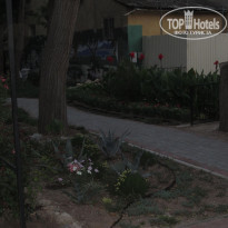 фото из отзыва ID 1996036