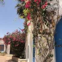 фото из отзыва ID 1996247