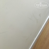 фото из отзыва ID 1996281