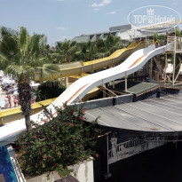 фото из отзыва ID 1996217