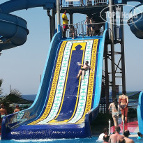 фото из отзыва ID 1996313