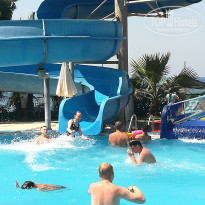 фото из отзыва ID 1996313