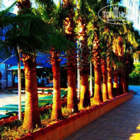 фото из отзыва ID 1996357