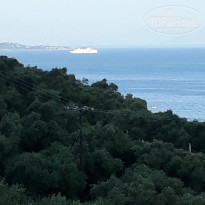 фото из отзыва ID 1996302