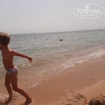 фото из отзыва ID 1996154