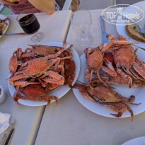 фото из отзыва ID 1996543