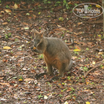 фото из отзыва ID 1996531