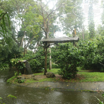 фото из отзыва ID 1996531