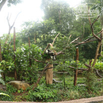 фото из отзыва ID 1996531