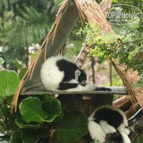 фото из отзыва ID 1996531