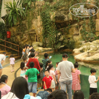 фото из отзыва ID 1996531