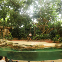 фото из отзыва ID 1996531