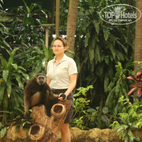 фото из отзыва ID 1996531