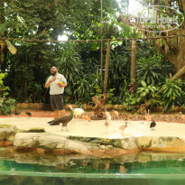 фото из отзыва ID 1996531