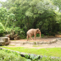 фото из отзыва ID 1996531