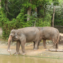 фото из отзыва ID 1996531