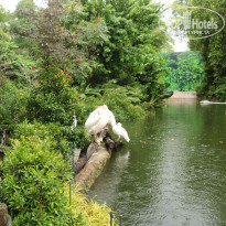 фото из отзыва ID 1996531