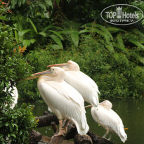 фото из отзыва ID 1996531