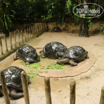 фото из отзыва ID 1996531