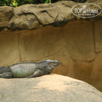 фото из отзыва ID 1996531