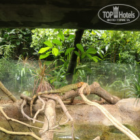 фото из отзыва ID 1996531