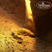 фото из отзыва ID 1996531