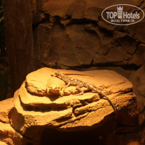 фото из отзыва ID 1996531