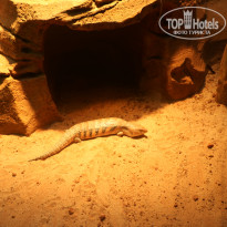 фото из отзыва ID 1996531