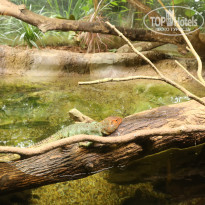 фото из отзыва ID 1996531