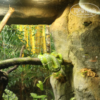 фото из отзыва ID 1996531