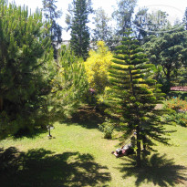 фото из отзыва ID 1996093